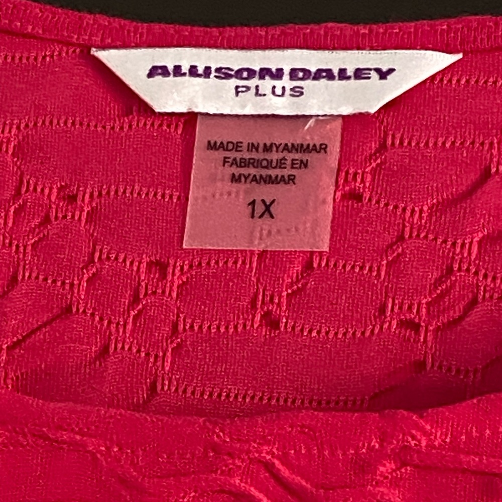 Beautiful, oversized Allison Daley Shirt